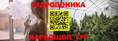 дурь Будённовск