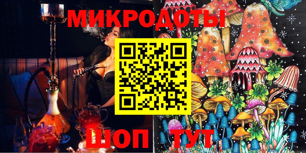 Галлюциногенные грибы Psilocybe Сургут