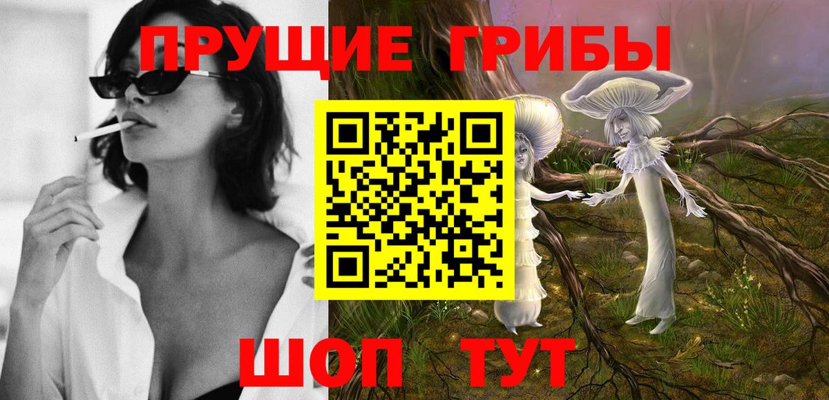 Галлюциногенные грибы Psilocybe  Вход с VPN  Галлюциногенные грибы Psilocybe  хочу наркоту  Сургут 