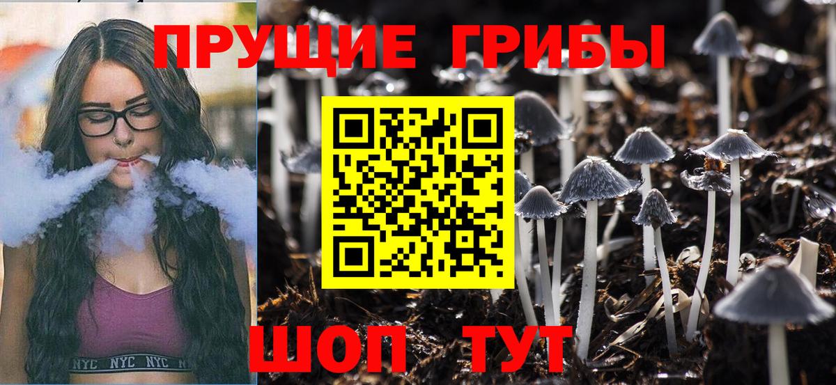 Псилоцибиновые грибы Сургут