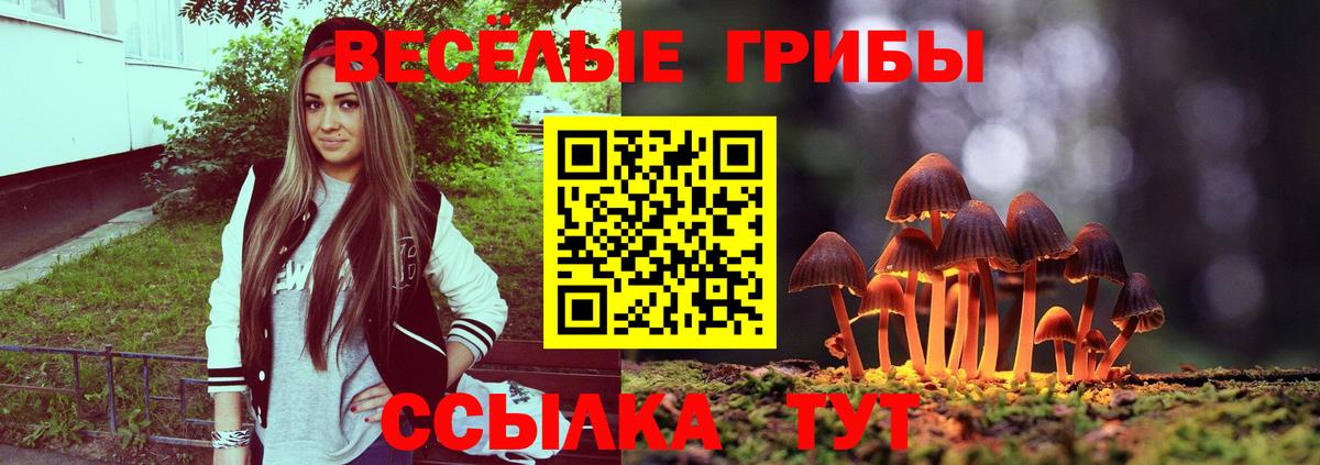 Сургут  ГАШИШ  Конопля  КОКАИН  Вход с VPN  APVP СОЛЬ кристаллы  Меф МЯУ МЯУ   МАРИХУАНА 